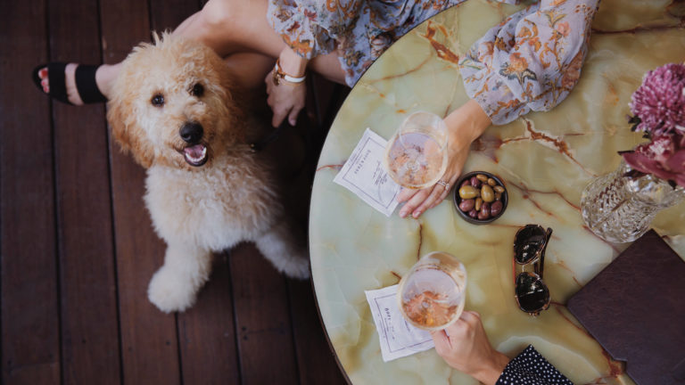 Rosé & Puppies - We're Dog Friendly